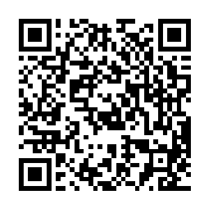 大意自然是已偿付了其中的高阶灵石和高阶魔晶石赌注二维码生成