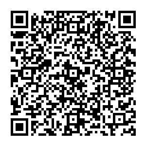 大手凌空而立　打碎苍穹　霸道无边　携带毁天灭地之威猛然探出　对着风清扬就是一掌盖下二维码生成