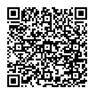 大手顿时一颤 其上更是刹那布满了裂痕 接着化作点点星光扩散四方 转瞬消失不见二维码生成