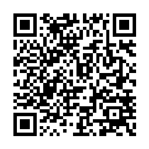 大抵在好奇御千染身侧何时多出这么一个……弱二维码生成