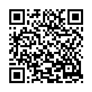 大抵就是最初加入君主阁生死堂的嫡系人员二维码生成