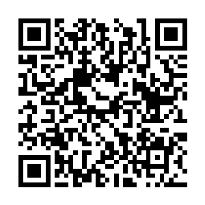 大杨的晋升也是由安雅琳和张致远他们一起操办的二维码生成