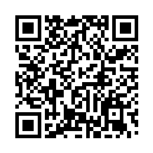 大林的栽种独属于格拉克罗多星的植物二维码生成