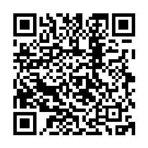 大柱国肯定比不上那被上阴学宫誉为五百年独此一人的叶白夔二维码生成