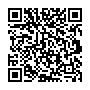 大梦对于自己在集团中日渐上升的地位显然很有自觉二维码生成