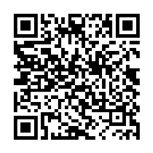 大楚东北部同样和其他边境一样被人称之为蛮夷之地二维码生成