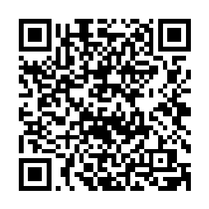 大概也就是书上所说的属于那种穿上龙袍也不像太子那类角色二维码生成