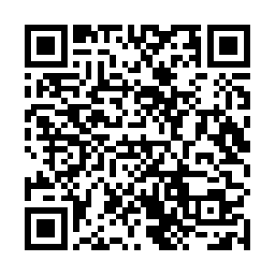 大概便是在整个目标区域放置足够多各种功能的探测器二维码生成