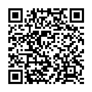 大概整个五界也没有谁像她这么频繁的签订契约又解除契约的了二维码生成
