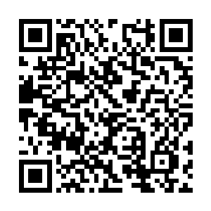 大概是不明白她何以敢怀揣巨款而如此明目张胆吧二维码生成