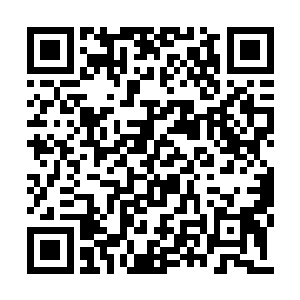 大概是因为小蓝从小就吸食她的灵气长大的缘故二维码生成