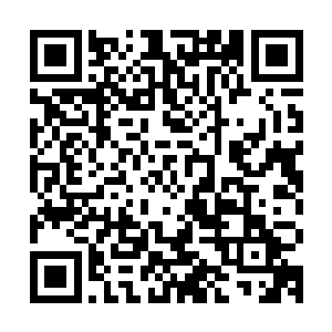 大概是问情宗弟子们在逃离的时候将一些值钱的东西搬走的缘故二维码生成