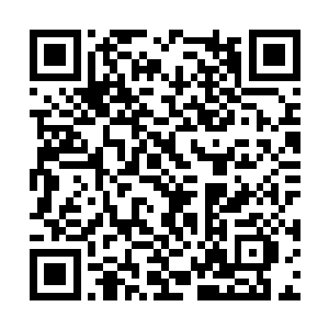 大概有鹅蛋大小的灵草精粹正在被元气不断地淬炼二维码生成