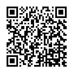 大概这名龙辉集团的兄弟看到迪卡的脑袋上虽然有血二维码生成