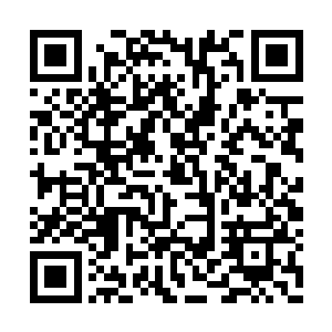 大概马老爷子也是因为当初跟着太爷爷奔走征战二维码生成