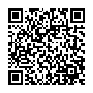 大殿中的每一个人都好奇池佳一为什么能准确的找到华成的真身二维码生成