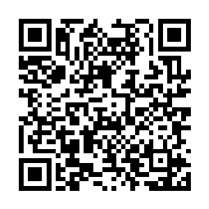 大殿中的长老一个个都紧咬着牙齿发出不平的声音二维码生成