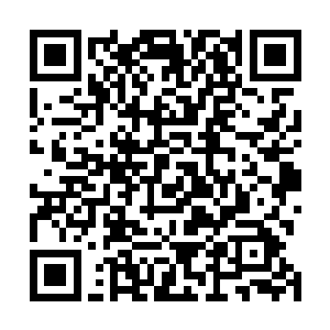 大殿之内其他的三十二位仙君后期巅峰修士心中不由一怒二维码生成