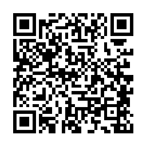大殿之内剩下的所有人都已经相信了许紫烟的话二维码生成