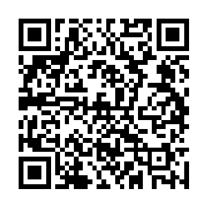 大殿内的众修士也都兴奋地望着贵宾席上的六个人二维码生成