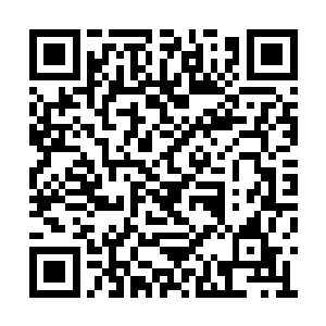 大气雍容更有一份即使男子也不及的坚韧和锐利二维码生成