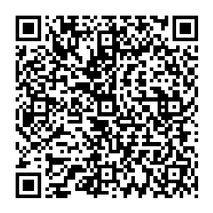 大汉张开嘴 痛呼出生 可是 这声音却好像是凝固在了大汉周围一样 竟然一点都扩散不出去二维码生成