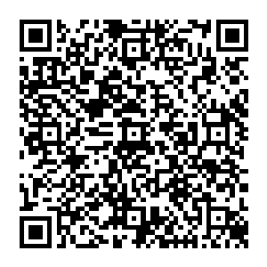 大汉的脸色瞬间变得苍白　他痛苦的捂着自己的脖子　想要挣扎　但是却发现自己连最基本的挣扎都沒有办法做到二维码生成