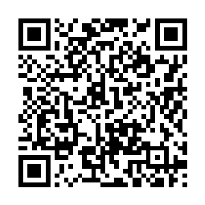 大汉站在一个距离方凌等人足足高出千丈的平台上二维码生成