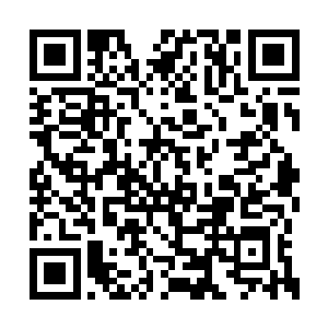 大灾变前绝大多数的水果都已经很难在外界看到二维码生成