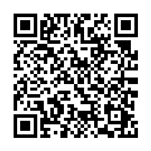 大炎龙雀的右臂之中不知内嵌了多少枚感应晶片二维码生成