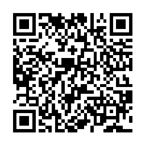 大熊为他寻到了足有几十种拥有上古异种血脉的妖兽二维码生成