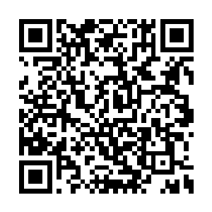 大爷再纳的都是姨娘……只怕有的还抬不了姨娘二维码生成