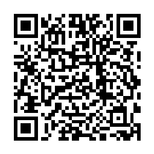 大片大片晶莹剔透的绿光组成了一道坚不可摧的屏障二维码生成