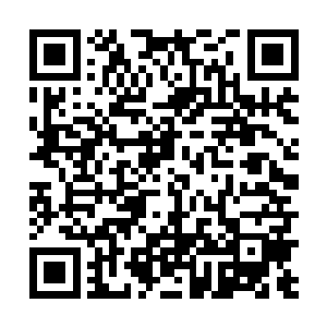 大片大片的红色系几乎成了实质话的热浪仿佛鲜血迸出二维码生成