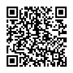 大片陨石雨立刻像是冰雹般狠狠敲击在每一艘星舰的外壳上二维码生成