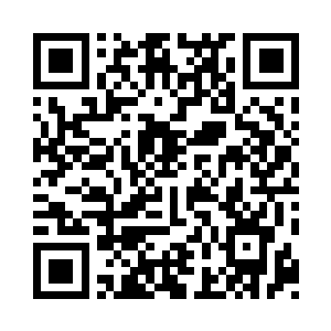 大白立即放下手中啃的只剩下骨架的鸭子二维码生成