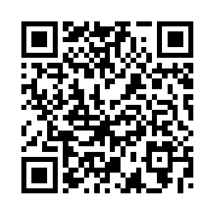 大白鲨这辈子都不可能沾到人的边二维码生成