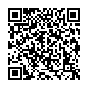 大的东西里面都是些部落附近没有的草或者果实二维码生成