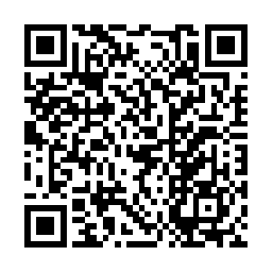 大皇子身边两大金牌护卫……竟然全都是中神境界二维码生成