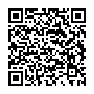 大眼师兄顿觉头痛……吵架吵不过人家就说欺负你二维码生成