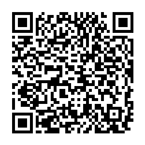 大眼睛蹲在大石头上把手中提的咸鱼递给大概名字叫拉若的小毛头二维码生成