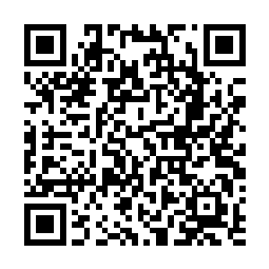 大秦帝国有责任保证每一个参加学院大赛的参赛者在大赛二维码生成