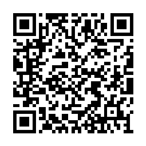 大精灵王曾经吩咐这名少女给马文送过一次消息二维码生成