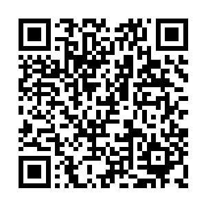 大精灵王的千叶之森――如今传到了伊布的手上二维码生成