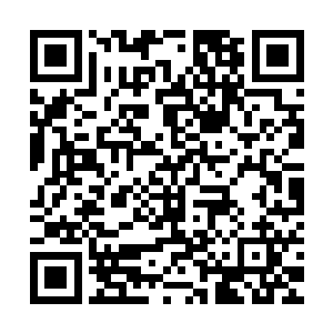 大红和魏厨子这两个活得比较久的围着转了几圈都没有想到办法二维码生成