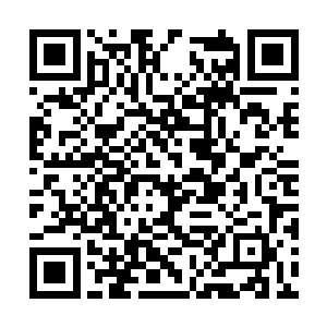 大红飞鱼服锦衣卫并没有因为朱平安不吊他而沮丧二维码生成