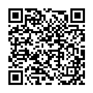 大红飞鱼服锦衣卫眯着毒蜂一样的眼睛看向朱平安二维码生成