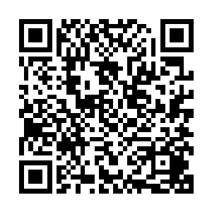 大约一分钟时间不到金甲蛮虫被紫色的丝包裹在大大的茧里面二维码生成