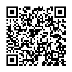 大约又是远古时代就存在但现在已经灭绝的鱼种吧二维码生成