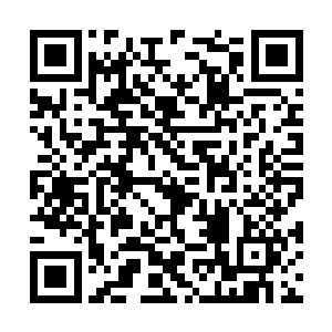 大约是中学生的茶发男生正蹲在自己旁边看着自己二维码生成